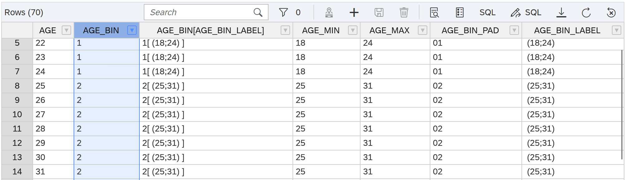 130 CalculationView Age Bin Preview