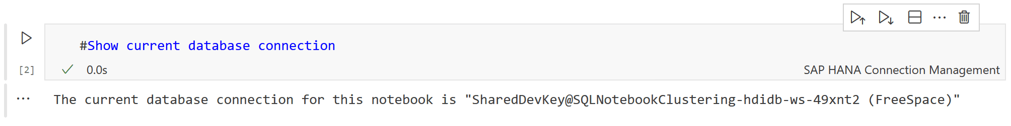 20 SQL-Notebook HANAConnectionManagement 2